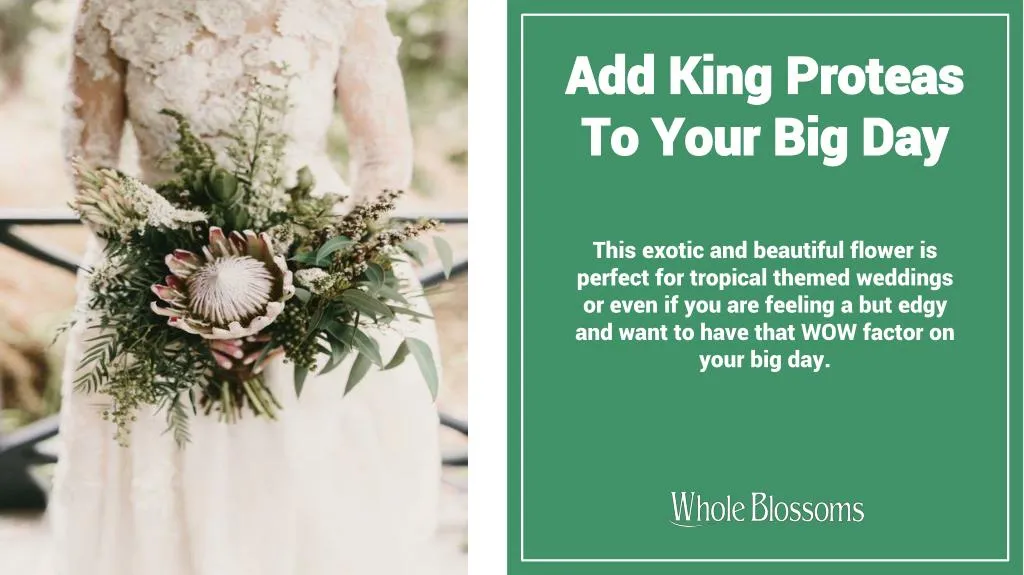 add king proteas to your big day