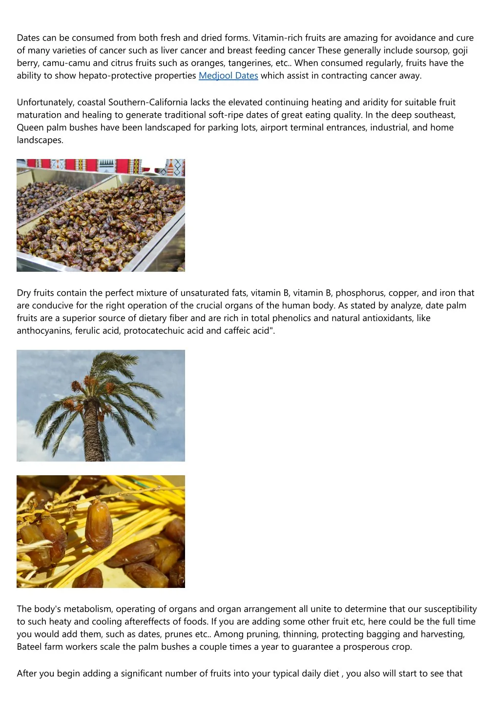 dates can be consumed from both fresh and dried