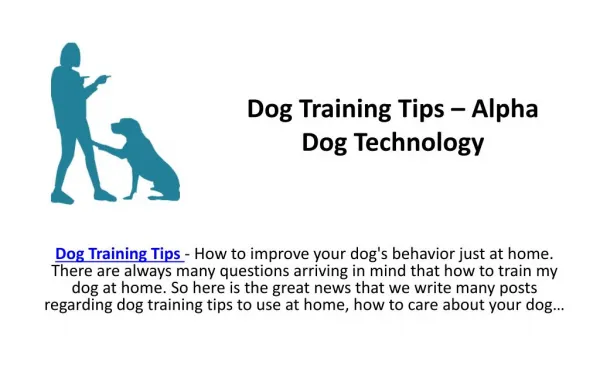 Dog Training Tips – Alpha Dog Technology