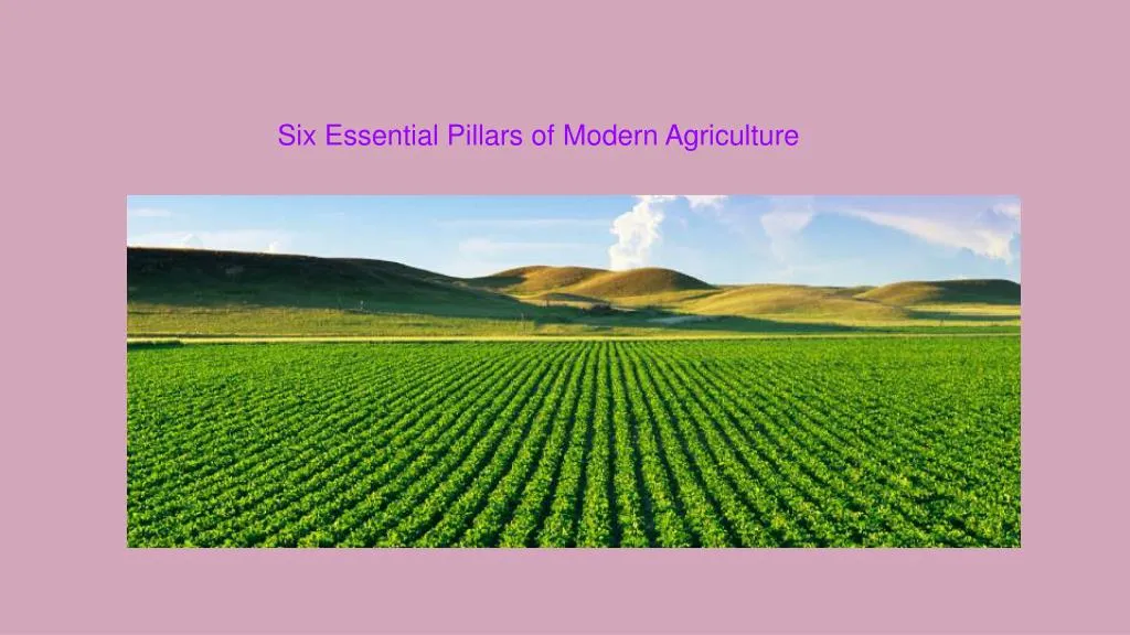 six essential pillars of modern agriculture