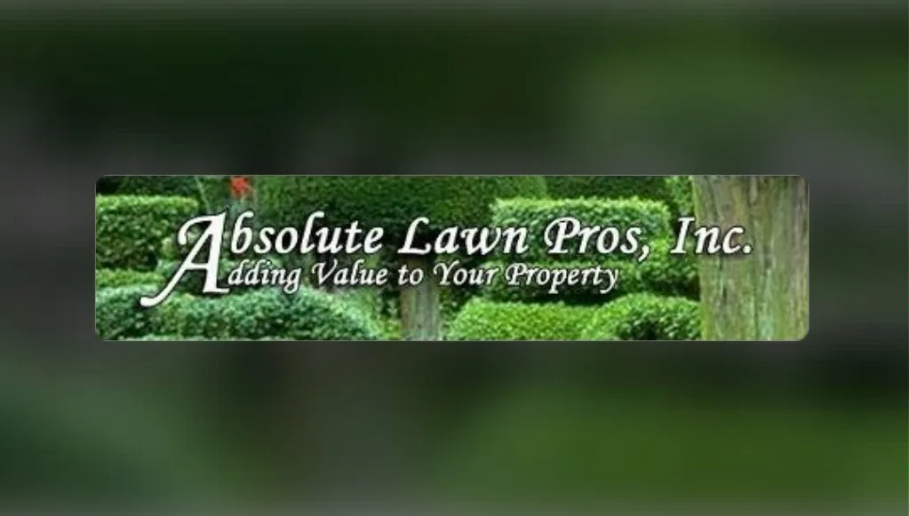 lawn care maintenance services
