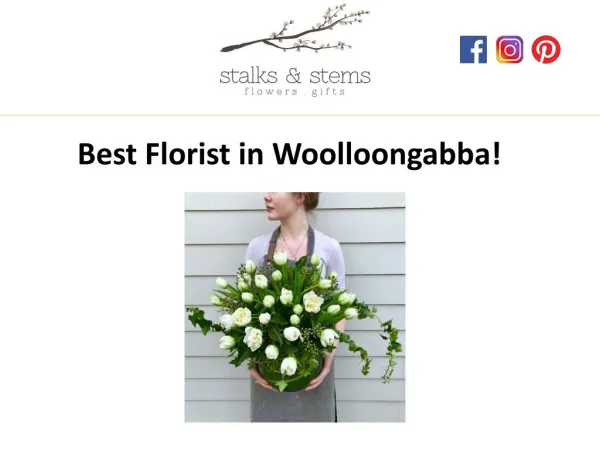 Best Florist in Woolloongabba!