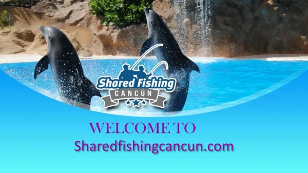 Go on an Exciting Fishing Voyage with Cancun Fishing Charters