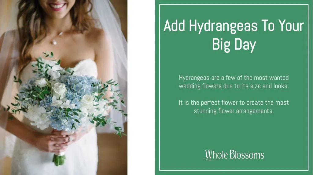 add hydrangeas to your big day