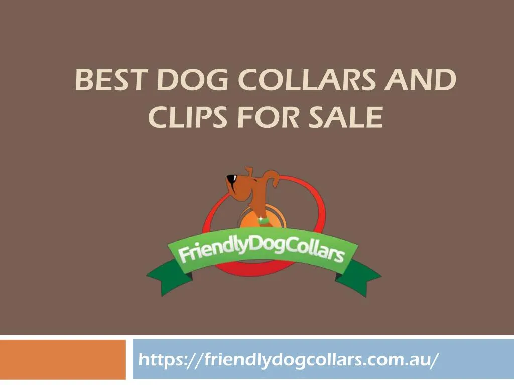 best dog collars and clips for sale