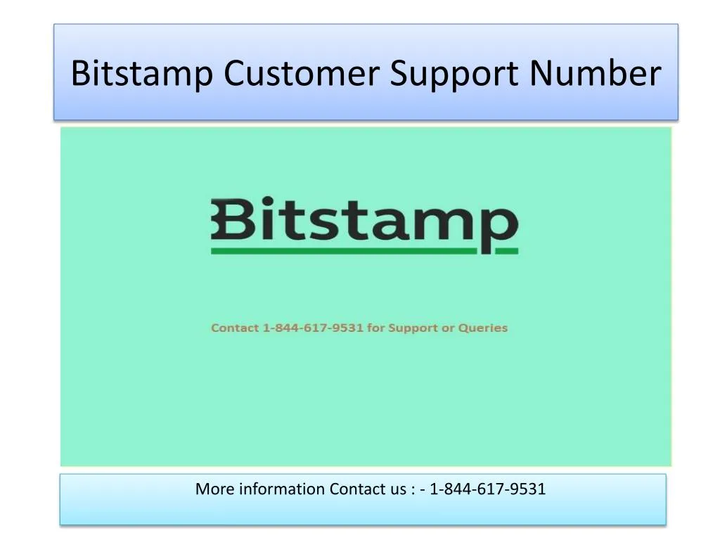 bitstamp customer support number