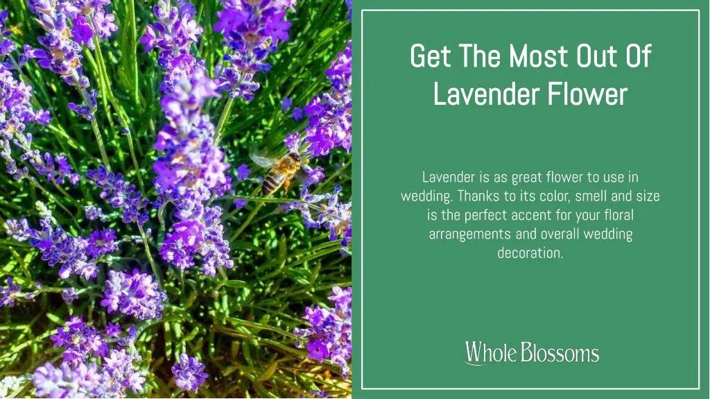 get the most out of lavender flower