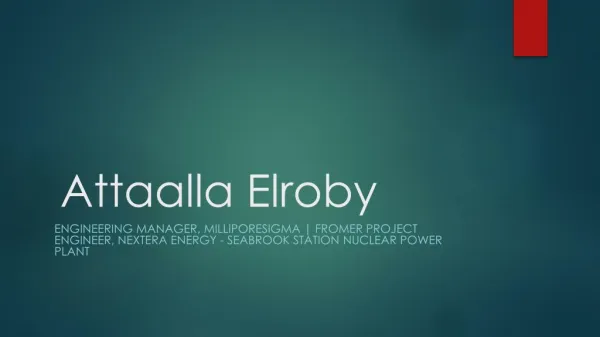 Attaalla Elroby - Worked as a Project Engineer at NextEra Energy