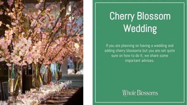 Get Cherry Blossom Branches for Special Weddings