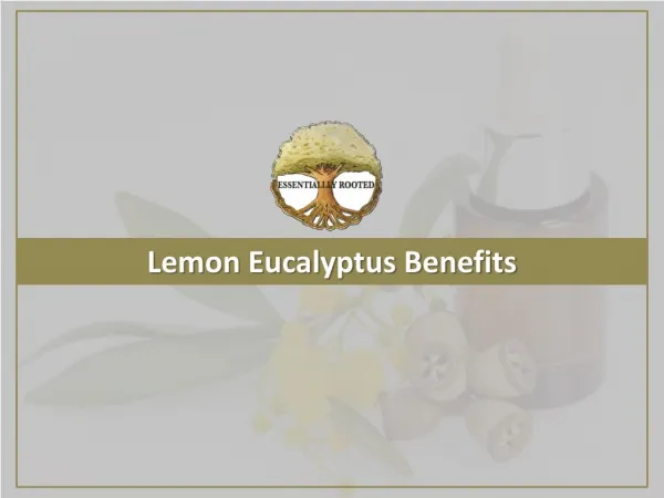 Lemon Eucalyptus Benefits