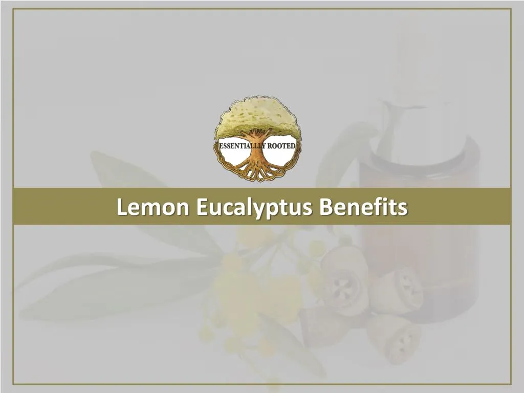 lemon eucalyptus benefits