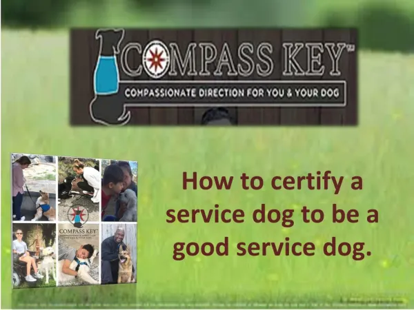 How to certify a service dog to be a good service dog.