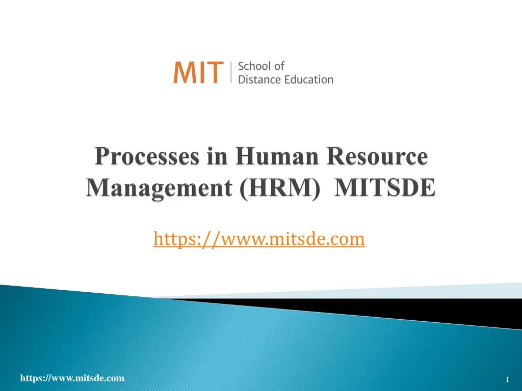 processes in human resource management hrm mitsde