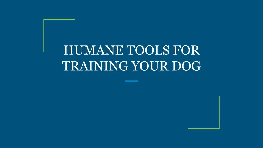 humane tools for training your dog