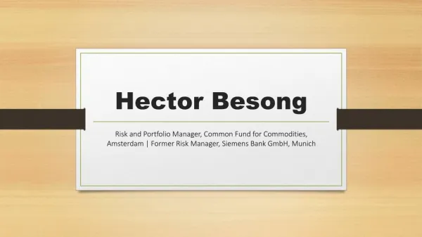 Hector Besong - Worked as a Risk Manager at Siemens Bank GmbH, Munich