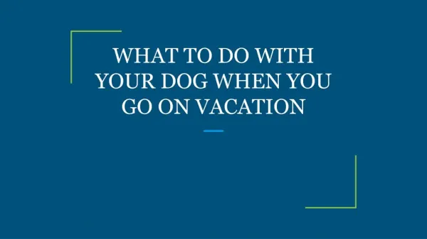 WHAT TO DO WITH YOUR DOG WHEN YOU GO ON VACATION