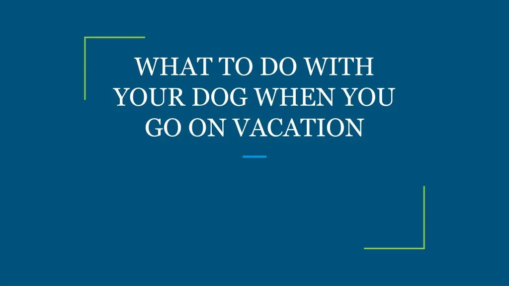 what to do with your dog when you go on vacation