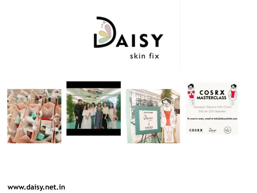 www daisy net in