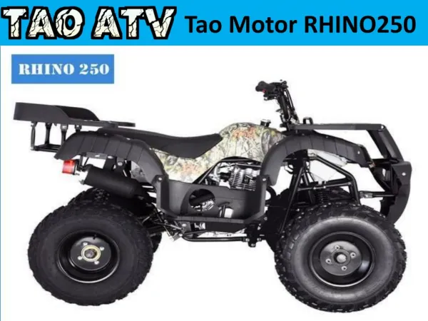 Tao Motor RHINO250