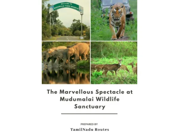 History Of Mudumalai Wildlife Sanctuary - Published By TamilNadu Routes