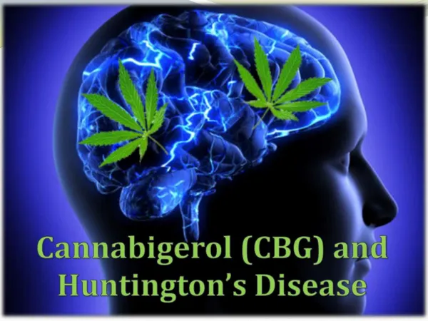 Cannabigerol (CBG) and Huntington’s Disease