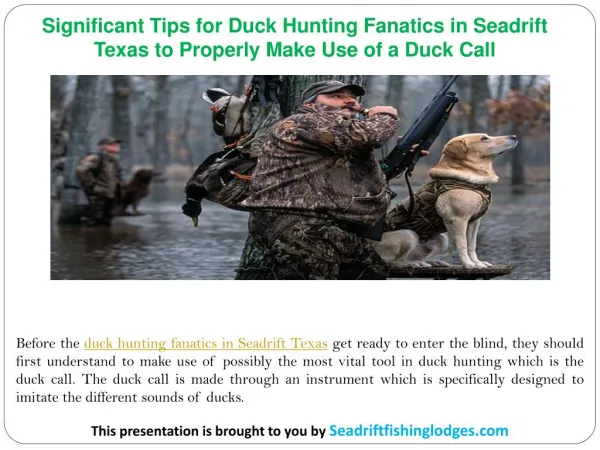 Significant Tips for Duck Hunting Fanatics in Seadrift Texas to Properly Make Use of a Duck Call