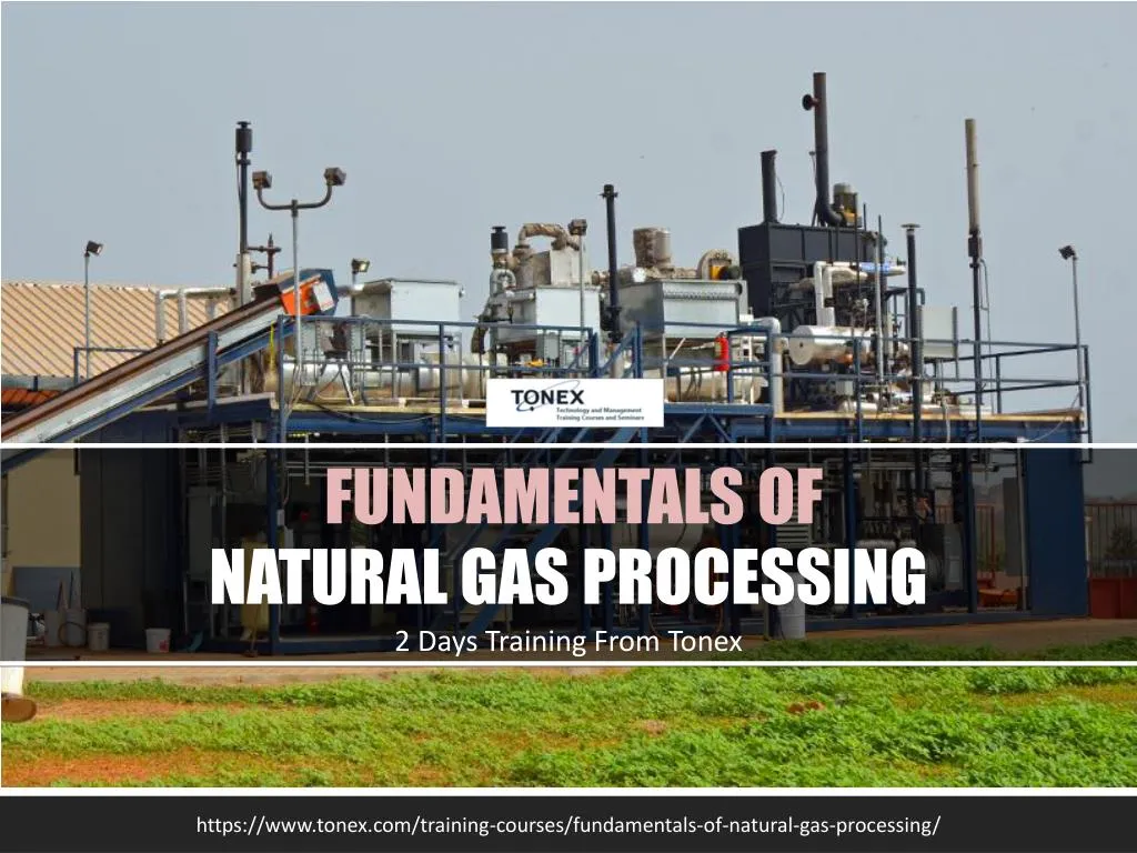 fundamentals of natural gas processing 2 days