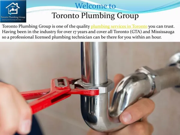 Emergency plumbing services Toronto