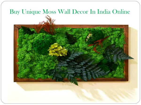 Buy Unique Moss Wall Decor In India Online