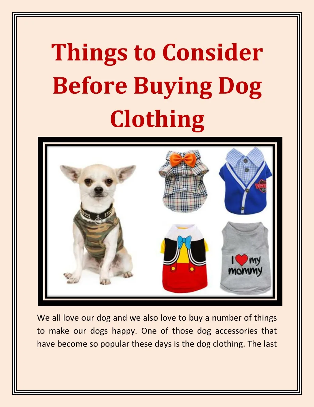 things to consider before buying dog clothing