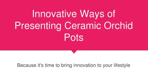 Innovative Ways of Presenting Ceramic Orchid Pots