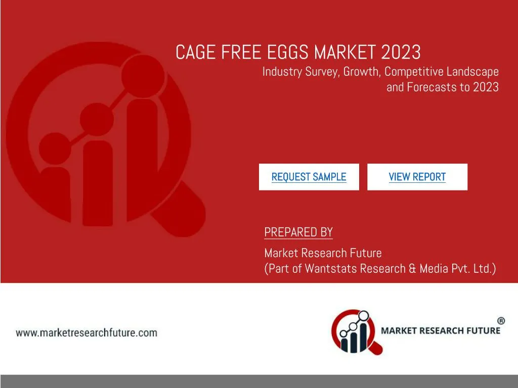 cage free eggs market 2023