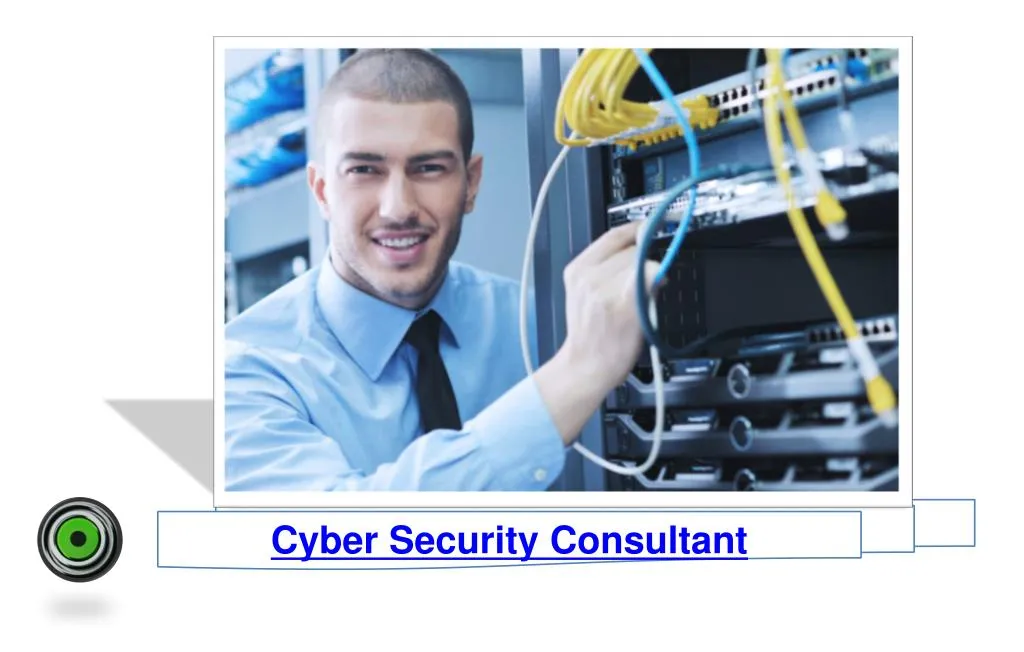 cyber security consultant