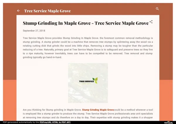 Stump Grinding In Maple Grove - Tree Service Maple Grove