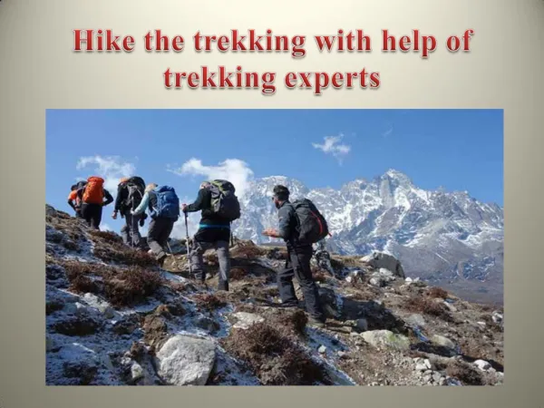 Hike the trekking with help of trekking experts