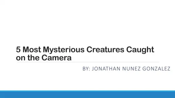 Mysterious Creatures Caught on Camera by Jonathan Nunez Gonzalez