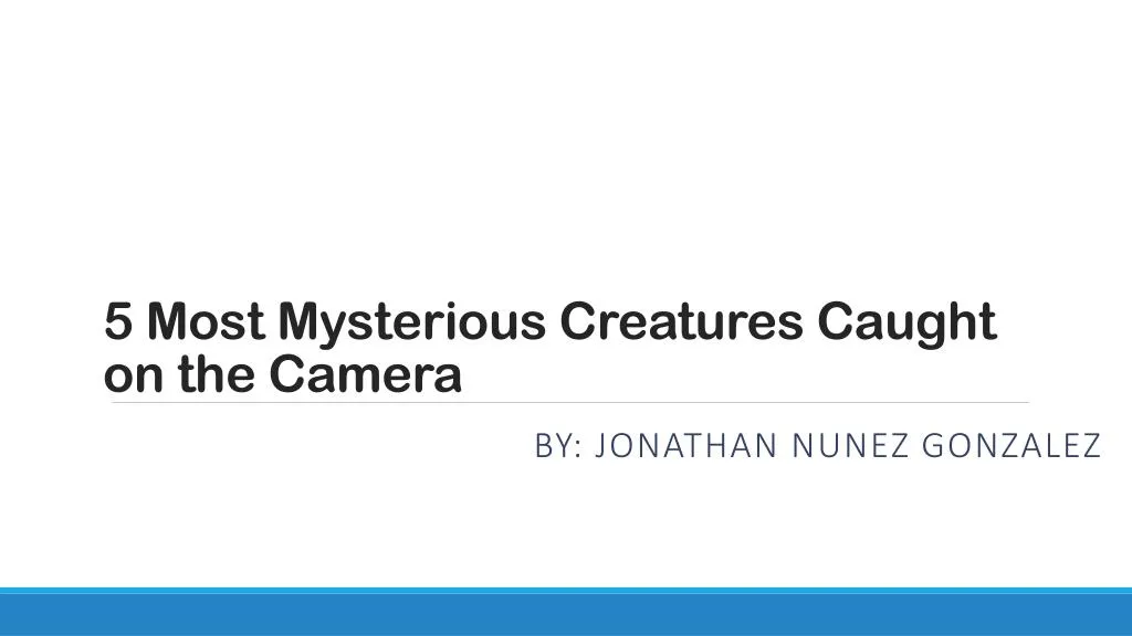 5 most mysterious creatures caught on the camera