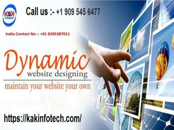 Best Dynamic Website Designing Company in Delhi