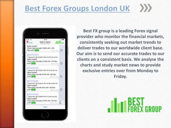 Best Forex Groups
