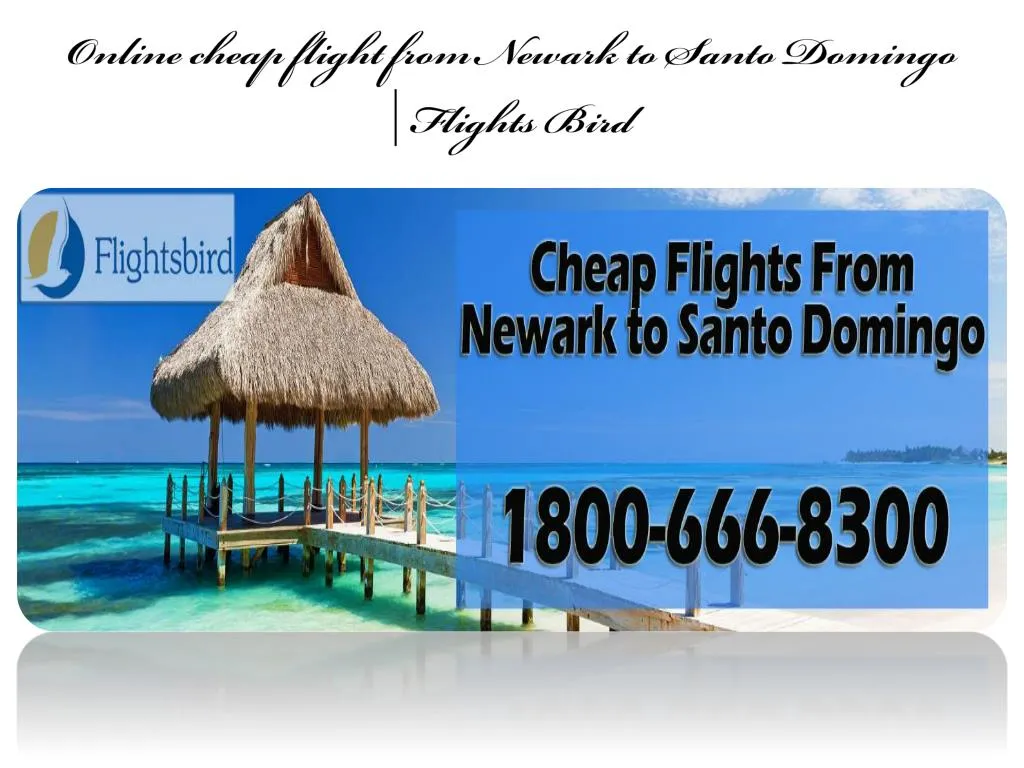 online cheap flight from newark to santo domingo flights bird