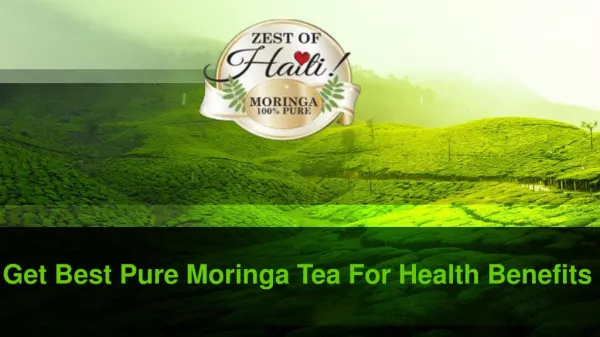 Get Best Pure Moringa Tea For Health Benefits