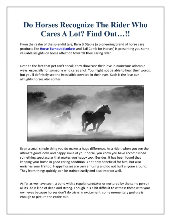 Do Horses Recognize The Rider Who Cares A Lot? Find Out…!!