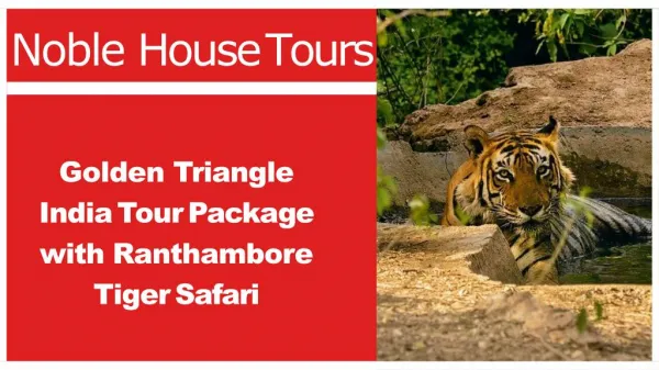 Golden Triangle India Tour with ranthambore tiger safari