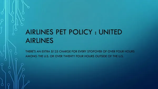 Airlines pet policy : United Airlines