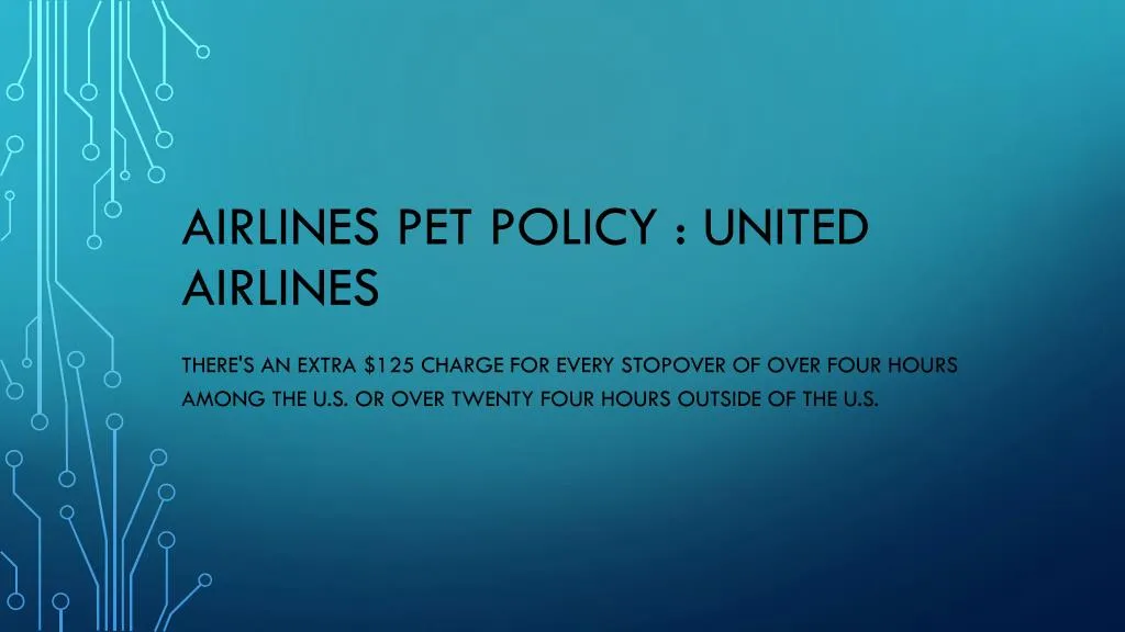 airlines pet policy united airlines
