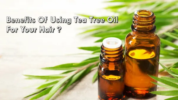 Benefits Of Using Tea Tree Oil For Your Hair