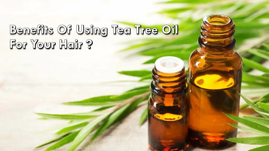 benefits of using tea tree oil for your hair