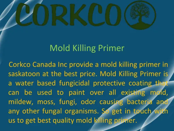 Mold Killing Primer