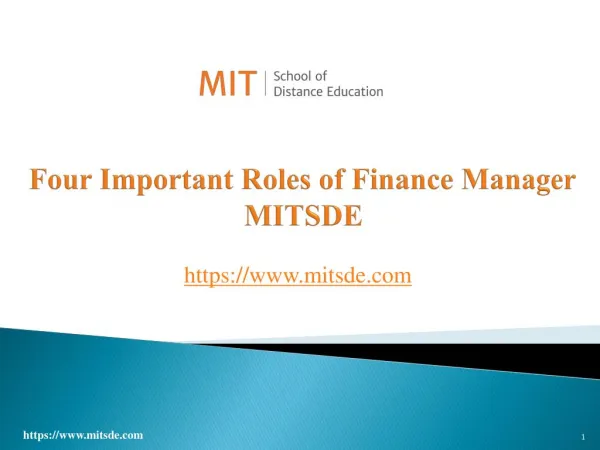 Four Important Roles of Finance Manager | MITSDE
