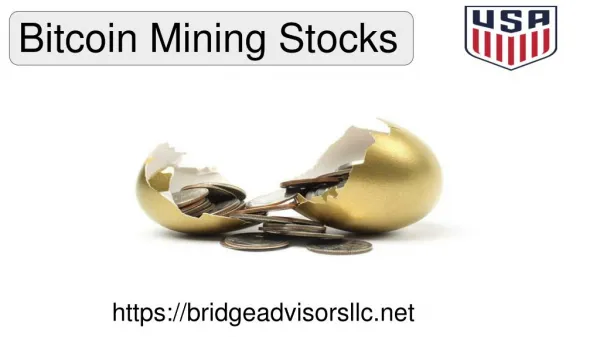 Which is The Best Bitcoin Mining Stocks For Investment? | Bridge Advisors